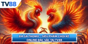 Đá Gà Thomo – Siêu Phẩm Chọi Kê Online Đặc Sắc Tại TV88