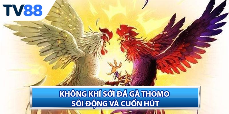 Khái niệm cơ bản về Đá Gà Thomo